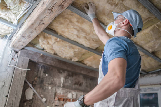 Best Insulation Maintenance and Repair in Cedartown, GA