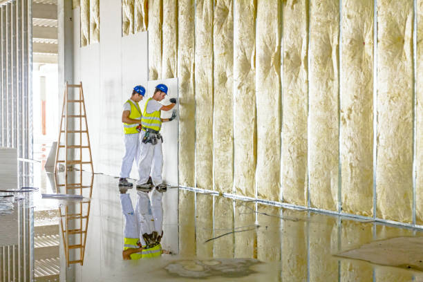 Best Commercial Insulation in Cedartown, GA